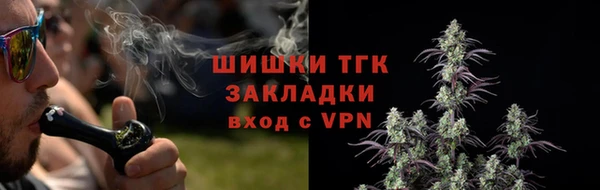 МДПВ Лиски