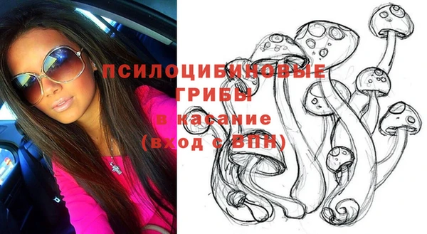 МДПВ Лиски