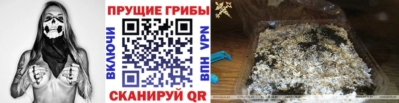 даркнет как зайти  Фокино  Псилоцибиновые грибы мухоморы 