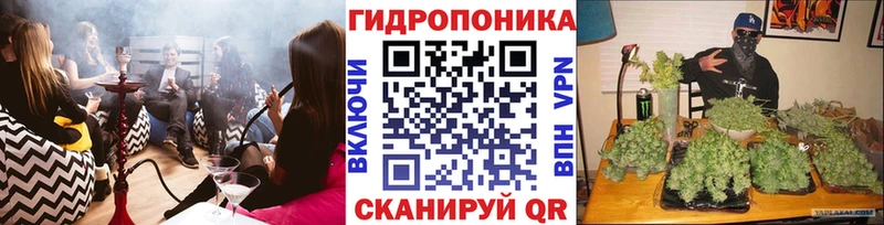 Конопля сатива  купить закладку  Фокино 